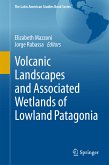 Volcanic Landscapes and Associated Wetlands of Lowland Patagonia (eBook, PDF)