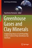 Greenhouse Gases and Clay Minerals (eBook, PDF)