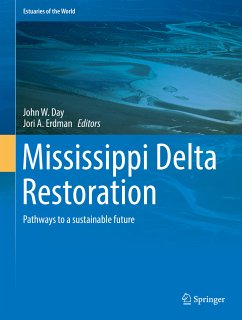 Mississippi Delta Restoration (eBook, PDF)