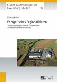 Energetisches Regionalisieren (eBook, PDF)