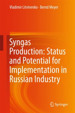 Syngas Production: Status and Potential for Implementation in Russian Industry (eBook, PDF) - Litvinenko, Vladimir; Meyer, Bernd