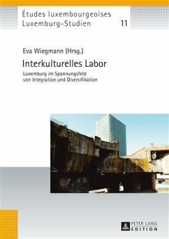 Interkulturelles Labor (eBook, PDF)