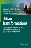 Urban Transformations (eBook, PDF)