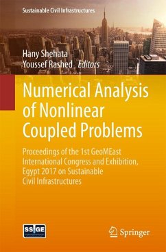 Numerical Analysis of Nonlinear Coupled Problems (eBook, PDF)