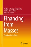 Financing from Masses (eBook, PDF)