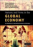Nations and Firms in the Global Economy (eBook, ePUB)