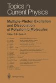 Multiple-Photon Excitation and Dissociation of Polyatomic Molecules (eBook, PDF)