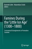Famines During the ʻLittle Ice Ageʼ (1300-1800) (eBook, PDF)