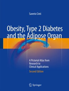 Obesity, Type 2 Diabetes and the Adipose Organ (eBook, PDF) - Cinti, Saverio