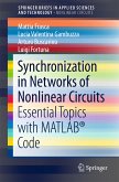Synchronization in Networks of Nonlinear Circuits (eBook, PDF)
