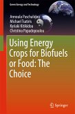 Using Energy Crops for Biofuels or Food: The Choice (eBook, PDF)