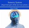 Sensory System (Important part of the... - Bild 1