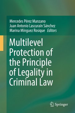 Multilevel Protection of the Principle of Legality in Criminal Law (eBook, PDF)