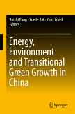 Energy, Environment and Transitional Green Growth in China (eBook, PDF)