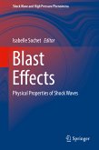 Blast Effects (eBook, PDF)