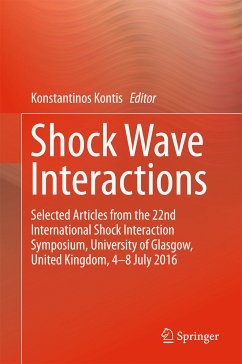 Shock Wave Interactions (eBook, PDF)