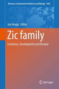 Zic family (eBook, PDF)