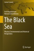 The Black Sea (eBook, PDF)
