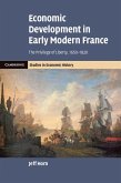 Economic Development in Early Modern France (eBook, PDF)