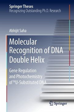 Molecular Recognition of DNA Double Helix (eBook, PDF) - Saha, Abhijit