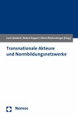 Transnationale Akteure und Normbildungsnetzwerke (eBook, PDF)
