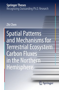 Spatial Patterns and Mechanisms for Terrestrial Ecosystem Carbon Fluxes in the Northern Hemisphere (eBook, PDF) - Chen, Zhi