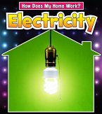 Electricity (eBook, PDF)
