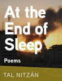 At the End of Sleep (eBook, ePUB) At the End of Sleep (eBook, ePUB)