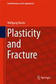 Plasticity and Fracture (eBook, PDF)
