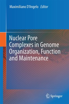 Nuclear Pore Complexes in Genome Organization, Function and Maintenance (eBook, PDF)
