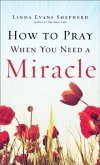 How to Pray When You Need a Miracle (eBook, ePUB)