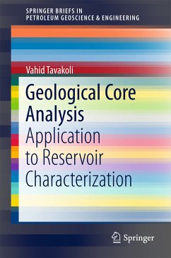 Geological Core Analysis (eBook, PDF) - Tavakoli, Vahid