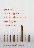 Grand Strategies of Weak States and Great Powers (eBook, PDF)