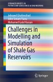 Challenges in Modelling and Simulation of Shale Gas Reservoirs (eBook, PDF)