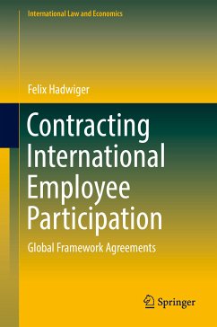 Contracting International Employee Participation (eBook, PDF) - Hadwiger, Felix