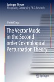 The Vector Mode in the Second-order Cosmological Perturbation Theory (eBook, PDF)