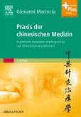 Praxis der chinesischen Medizin (eBook, PDF)