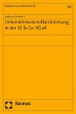 Unternehmensmitbestimmung in der SE & Co. KGaA (eBook, PDF)