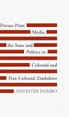 Private Print Media, the State and Politics in Colonial and Post-Colonial Zimbabwe (eBook, PDF)