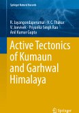 Active Tectonics of Kumaun and Garhwal Himalaya (eBook, PDF)
