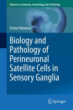 Biology and Pathology of Perineuronal Satellite Cells in Sensory Ganglia (eBook, PDF) - Pannese, Ennio
