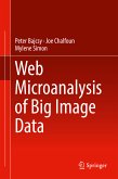 Web Microanalysis of Big Image Data (eBook, PDF)