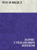 Chto ja videl (eBook, ePUB)