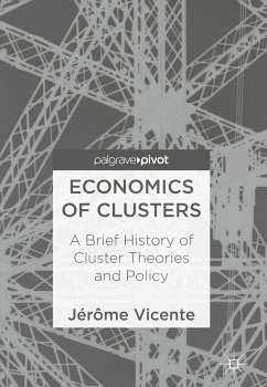 Economics of Clusters (eBook, PDF) - Vicente, Jérôme