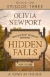 Hidden Falls: A Town in Trouble -... - Bild 1