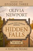 Hidden Falls: A Town in Trouble - Episode 3 (eBook, ePUB)