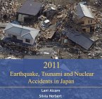 2011 Earthquake, Tsunami and Nuclear Accidents in Japan (eBook, PDF)