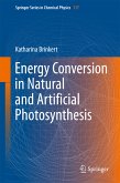 Energy Conversion in Natural and Artificial Photosynthesis (eBook, PDF)