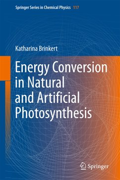 Energy Conversion in Natural and Artificial Photosynthesis (eBook, PDF) - Brinkert, Katharina