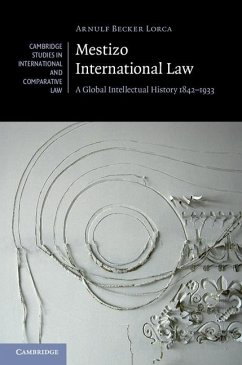 Mestizo International Law (eBook, ePUB) - Lorca, Arnulf Becker